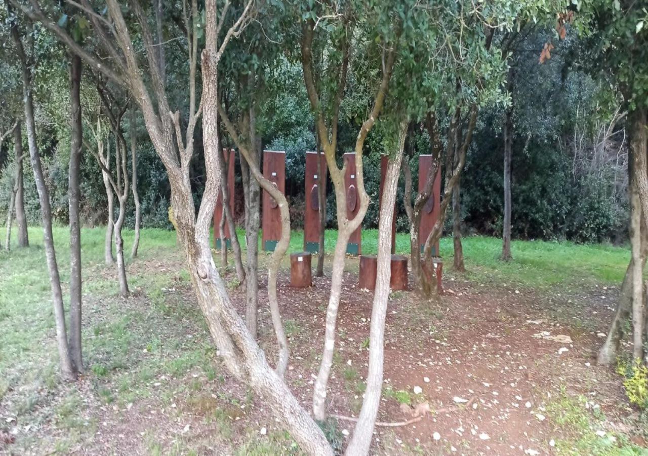 Apartmani Natasa فيرسار المظهر الخارجي الصورة