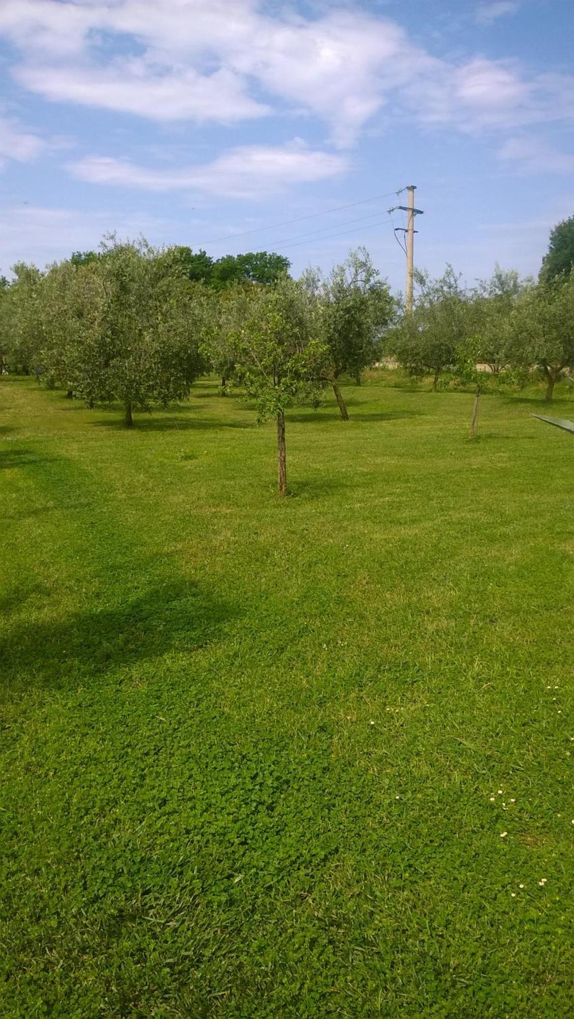 Apartmani Natasa فيرسار المظهر الخارجي الصورة