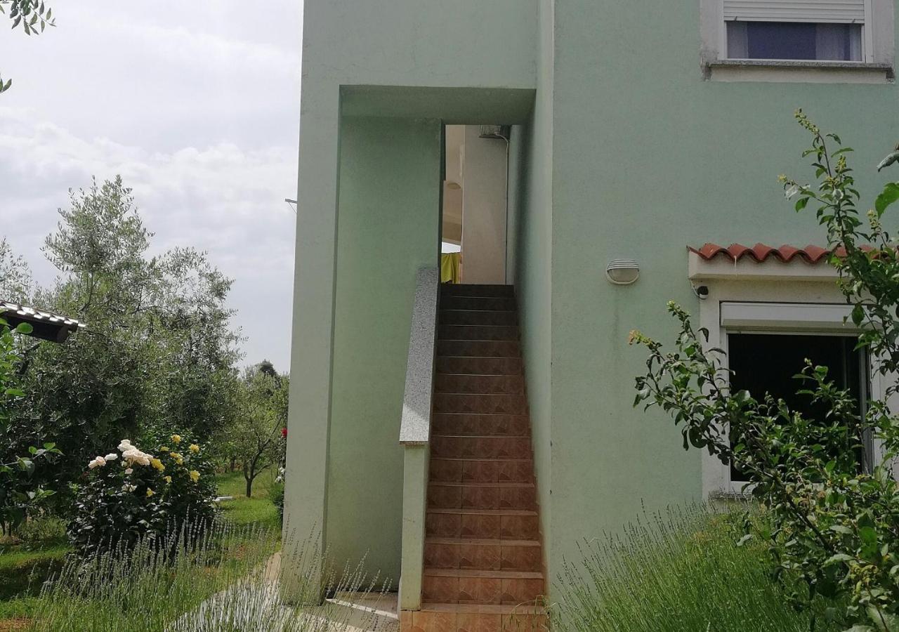 Apartmani Natasa فيرسار المظهر الخارجي الصورة