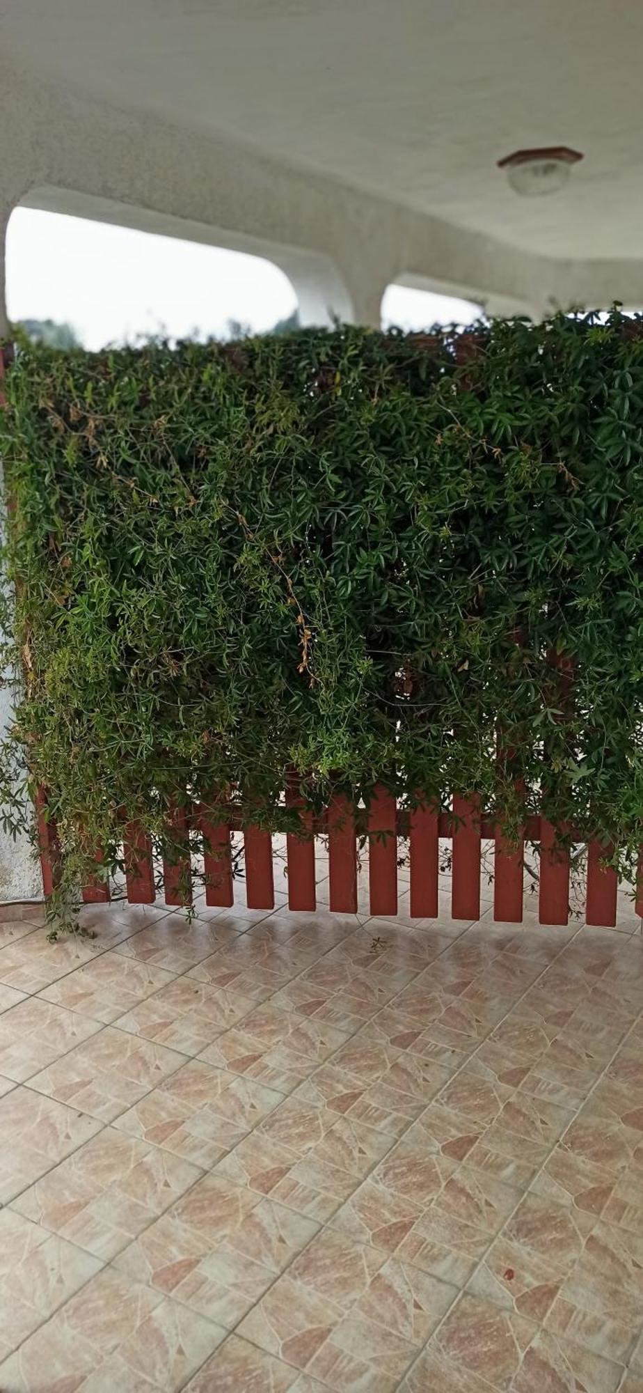 Apartmani Natasa فيرسار المظهر الخارجي الصورة